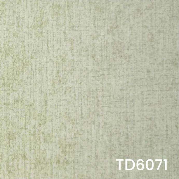 TD6071